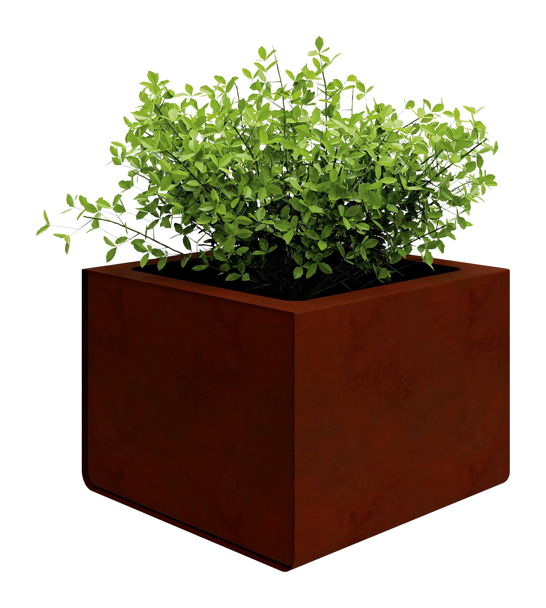 Vorschau: 2657_F_002 Vorschau: 2657_F_002